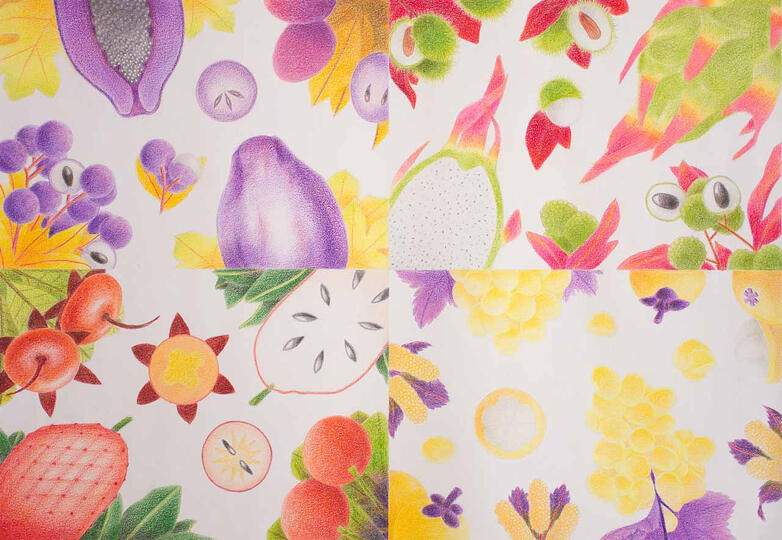 Exotic Fruits of the South