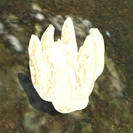 Buddha's Hand